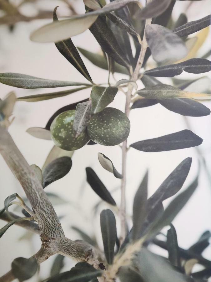 Greca Mare-Traditional Greek Boutique Apt. Psakoúdia Eksteriør bilde